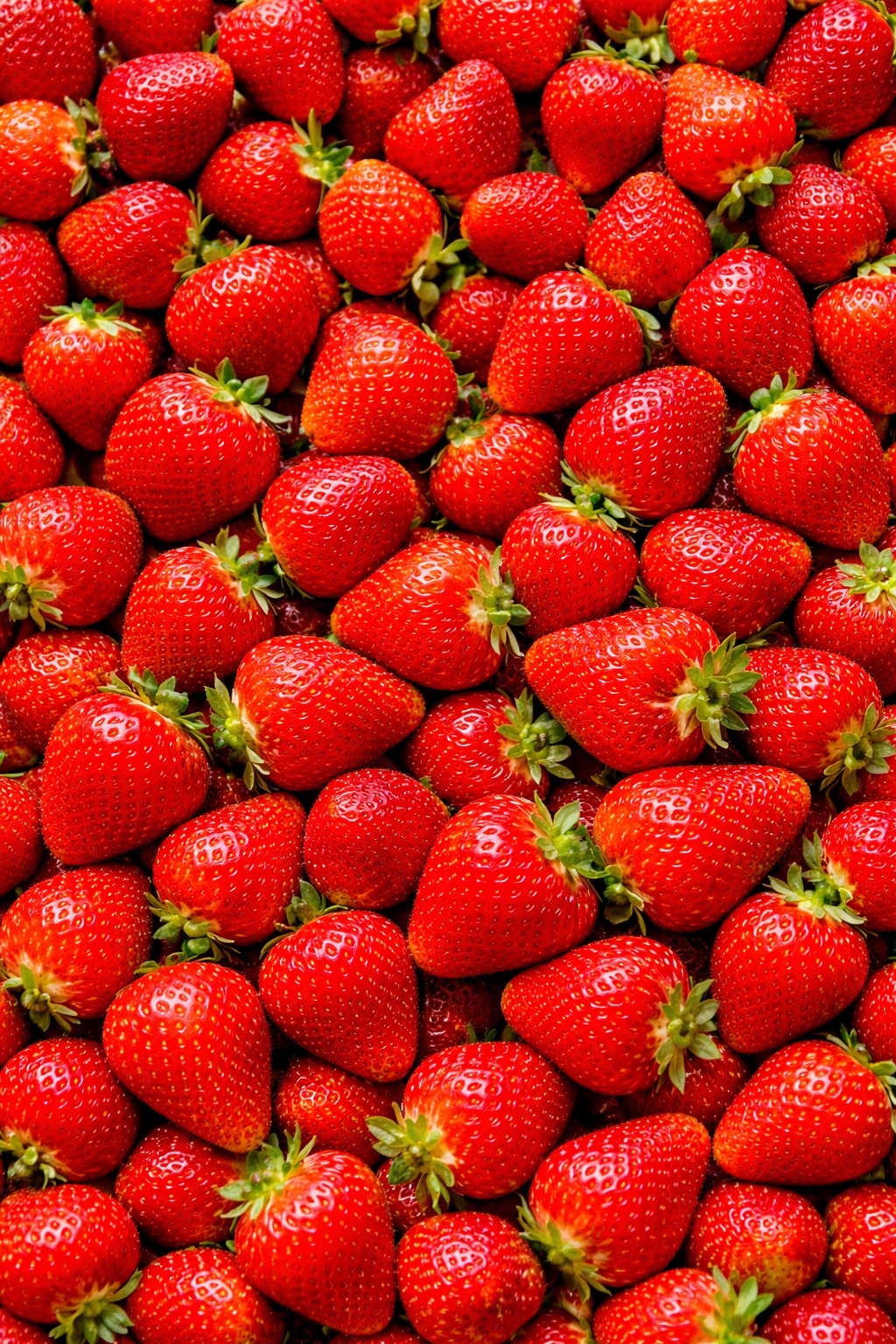 135AFEEB-A2FF-4697-8AE7-6E779594185B