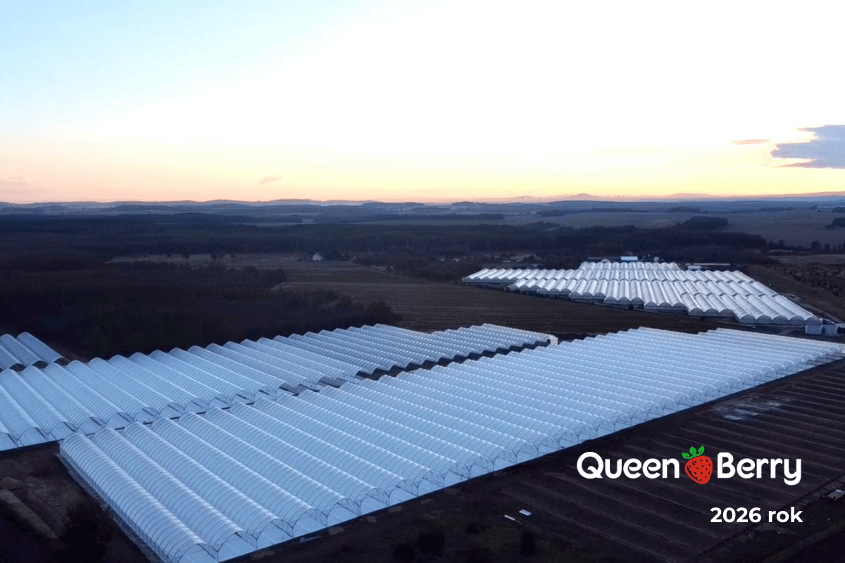 tunele 2026 z logo (1200 x 800 px)