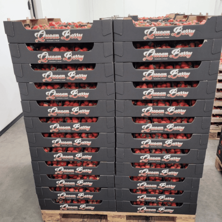 queenberry produkty (2)