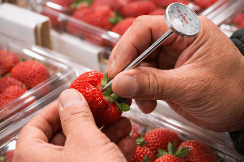 home 4 Truskawki Premium Jakość